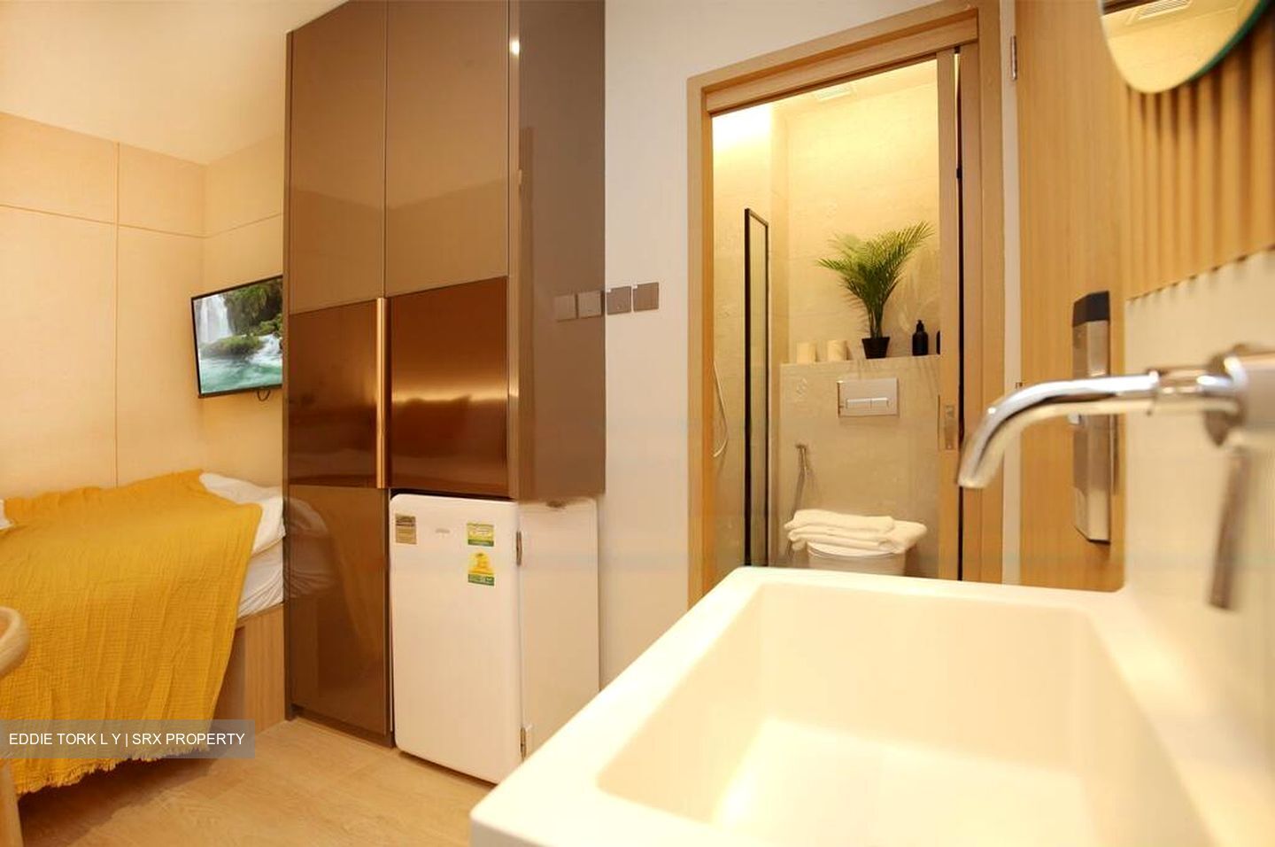 Mount Elizabeth Link (D9), Apartment #521818821